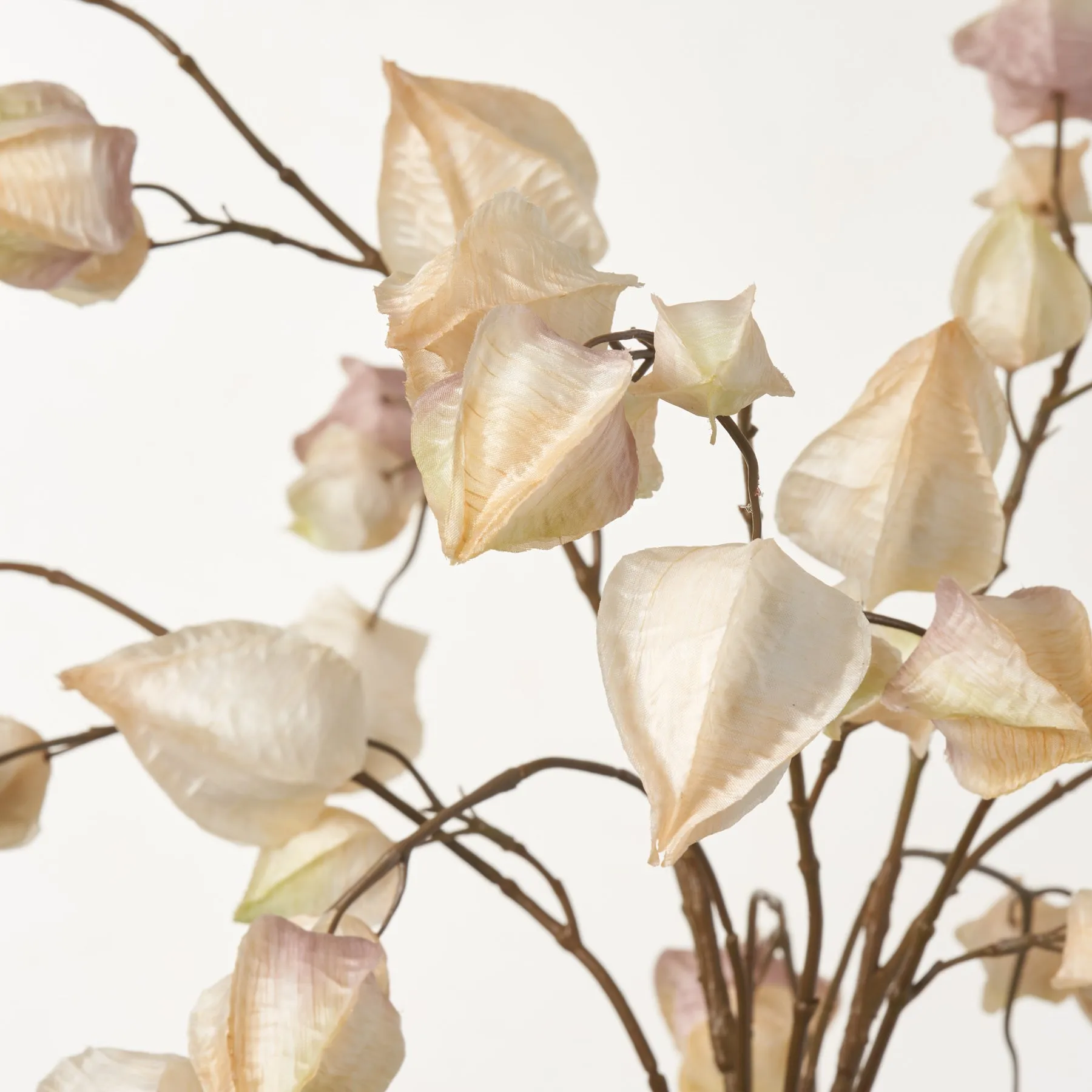 Chinese Lantern Tree Branch Pods In Jug Style Vase - Available In Two Colors